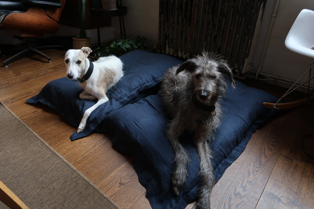 Dog Bed