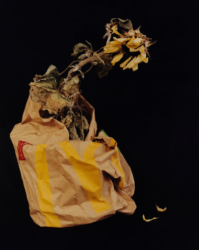 Andrew Nuding 03