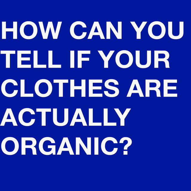 Are Your Clothes Organic?
